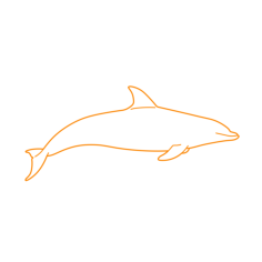 Animals Toothed Whales Sketch Svg Vector, Free Vectors File